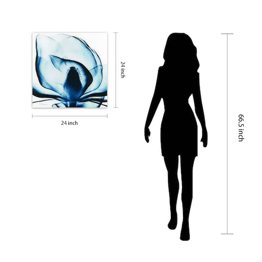 Empire Art Direct 24" x 24" Blue Magnolia X-Ray Frameless Free Floating Printed Tempered Glass Wall Art